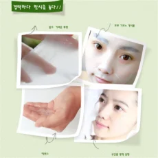 6 PCS Skin Care Natural Fruit Plant Facial Mask Moisturizing Oil-Control Blueberry Cucumber Pomegranate Fruit Aloe Sheet Face Mask - Image 4
